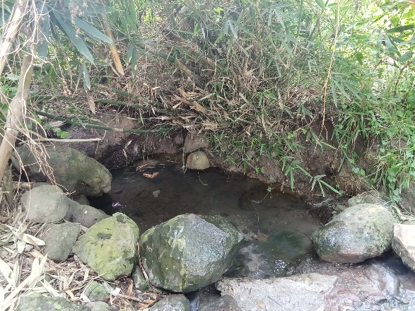 Water at the first Camias source location