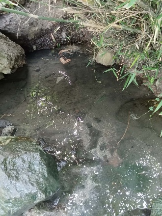 Rocky water source in Camias